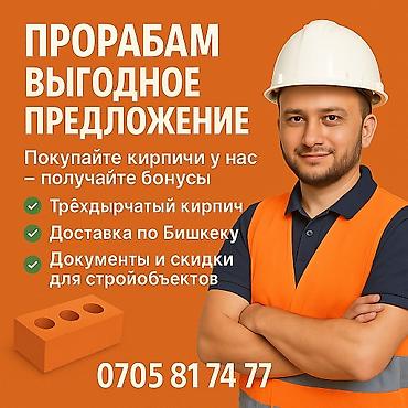 m100: Пустотелый, дырчатый, Жженый кирпич, Полублок, 250×120×88 — 2