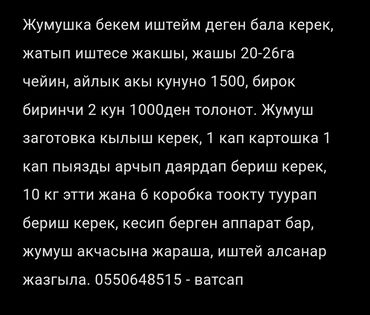 ночная работа вакансии бишкек: Требуется Разнорабочий на производство, Оплата Ежедневно, Без опыта