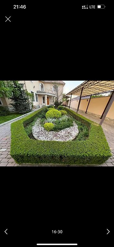 Дворники, садовники: 🌱Я Садовник Стрижка Живой изгородь,самшит,Туи,хвойные растения, Я — 16