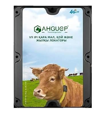просто ат: GPS-трекер для сельскохозяйственных животных AHGUEP (V9) Назначение — 1