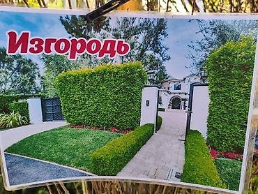 Самшит: Продаю разное декоративный дерево,живая изгородь из бирючины — 2