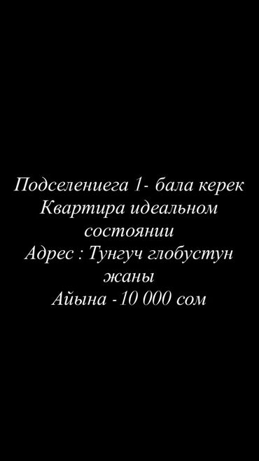 1 комнатная квартира аренда без посредников: 2 бөлмө, Менчик ээси, Чогуу жашоо менен