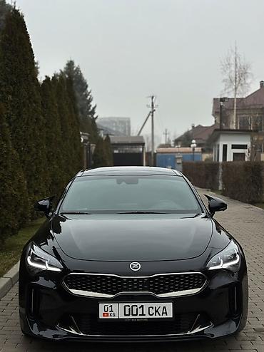 для химчистки салона: Kia Stinger: 2019 г., 2 л, Автомат, Бензин, Фастбек — 3