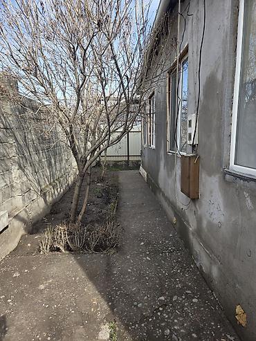 Продажа коттеджей и домов: Продаю дом после ремонта с мебелью 3 спальни, зал, кухня, столовая — 5