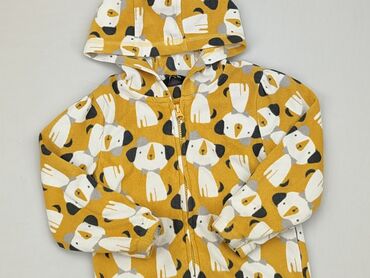 sweterek z koronkowymi rekawami: Bluza, George, 3-4 lat, 98-104 cm, stan - Dobry