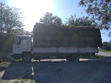 Грузовики: Грузовик, Б/у