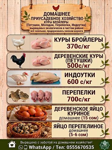 Домашняя птица, режим на заказ, по предварительному заказу, халал