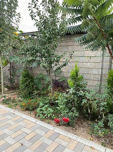 Долгосрочная аренда домов: 300 м², 8 комнат, Евроремонт, Кондиционер, Бронированные двери — 2