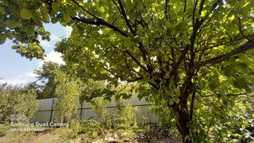 Həyət evləri və villaların satışı: 6 otaqlı, 150 kv. m, Orta təmir — 62