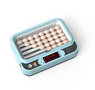 Oprema za kućne ljubimce: INKUBATOR Automatski nove generacije za 36 jaja 12v/220v — 4