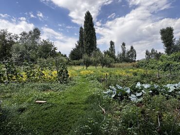 Продажа домов: Дом, 200 м², 6 комнат, Собственник — 14