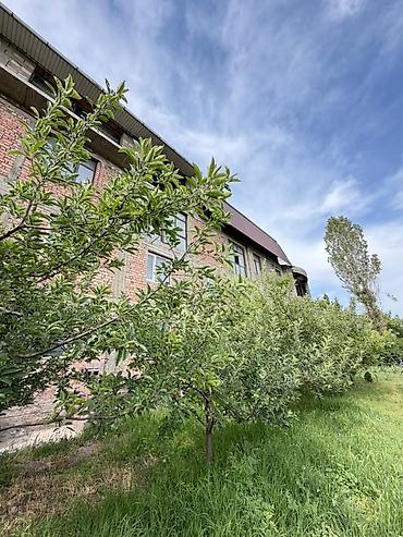Продажа зданий: Здание, 1300 м² — 7
