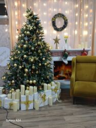 Foto və video çəkiliş: Foto çəkiliş | Studiya | Tədbirlərin çəkilişi, Love story, Toy fotosesiyası — 2