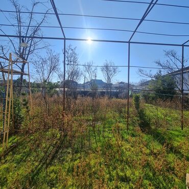 Torpaq sahələrinin satışı: 18 sot, Tikinti, Barter mümkündür, Kupça (Çıxarış) — 15