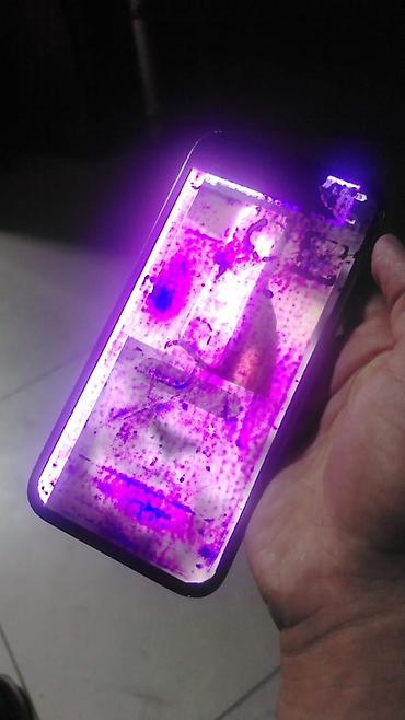 IPhone 13 Pro Max, Yaşıl, Qırıq lalafo.az -da IPhone 13 Pro Max, Yaşıl, Qırıq