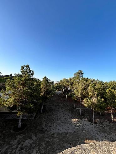 Torpaq sahələrinin satışı: 24 sot, Mülkiyyətçi, Kupça (Çıxarış) — 3