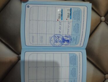 İtlər: Kane-Korso, 2 il, Erkek, Peyvəndli, Ünvandan götürmə — 6