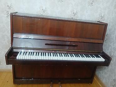 Pianolar: Piano, Belarus, Akustik, İşlənmiş — 3
