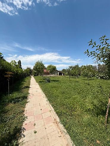 новопаловка: 305 соток, Для строительства, Красная книга, Договор купли-продажи — 6