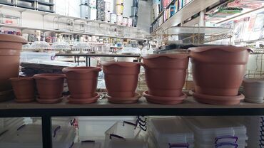 Bitkilər üçün dibçəklər: Dipçekler Gül qabilar ferqli modeller ferqli ölçulerde 1 aznden — 4