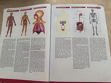 Книги и журналы: Məhsul: “Biology 3” dərsliyi Nəşriyyat: Sürat Publications ( — 6