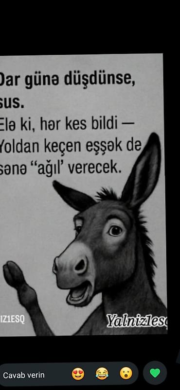 5 6 nergiz necef: Ofisiant tələb olunur — 1