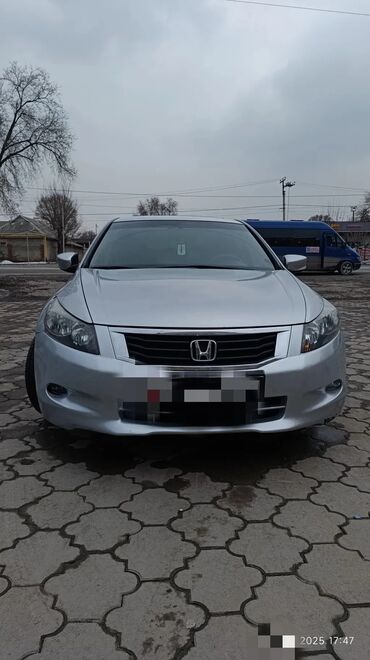 аккорд 7: Honda Accord: 2011 г., 2.4 л, Автомат, Бензин, Седан