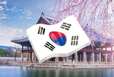 перевод документ: Языковые курсы | Корейский | Для взрослых