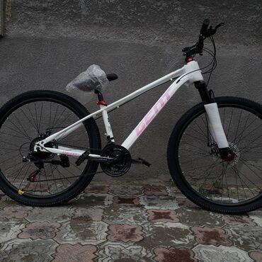 Городские велосипеды: Городской велосипед, Alton, Рама L (172 - 185 см), Новый — 6