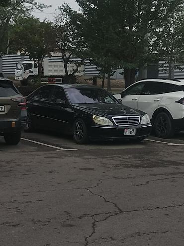 mersedes e class: Mercedes-Benz S-Class: 2002 г., 5 л, Автомат, Бензин, Седан — 1