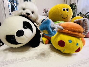 мягкая игрушка панда: Игрушки для детей 🧸 побалуйте ребёнка новым другом : фарфоровая