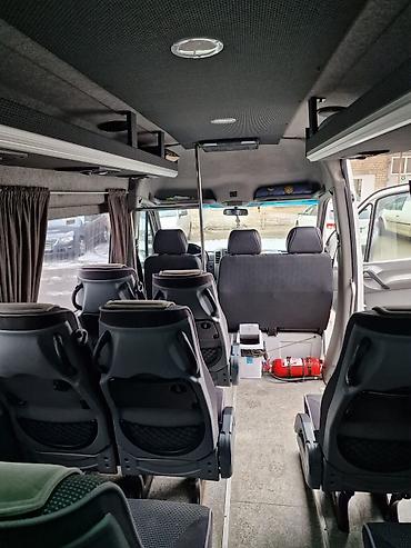 vip bus: Mercedes-Benz Спринтер: 2008 г. — 7