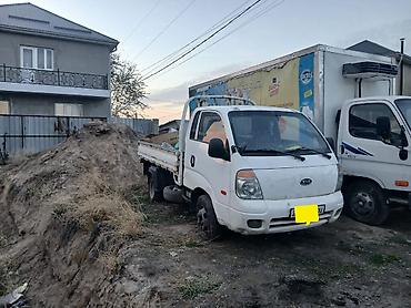 Легкий грузовой транспорт: Легкий грузовик, Kia, Стандарт, 3 т, Б/у — 6