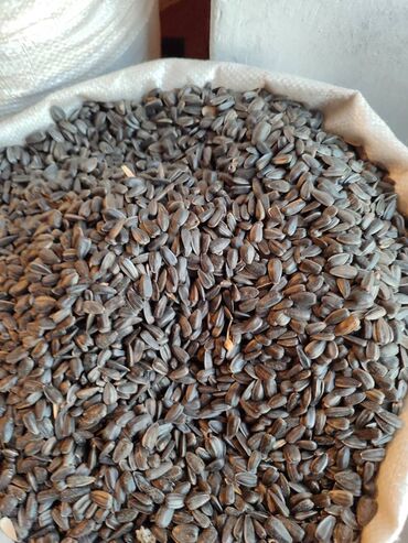 Digər qida məhsulları: Qovrulmuş və çiy,ağ və qara semiçkalar çəki ilə satılır. Sifariş -da lalafo.az — 9 Digər qida məhsulları: Qovrulmuş və çiy,ağ və qara semiçkalar çəki ilə satılır. Sifariş — 9