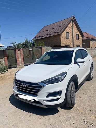 туксон 1.7 дизель: Hyundai Tucson: 2019 г., 1.6 л, Автомат, Дизель, Кроссовер — 9