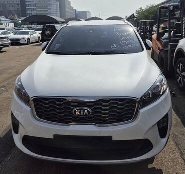 Kia: Kia Sorento: 2019 г., 2 л, Автомат, Дизель, Кроссовер — 1