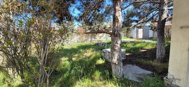 Torpaq sahələrinin satışı: Tikinti, Mülkiyyətçi, Kupça (Çıxarış) — 7