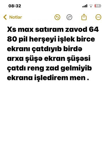 4 göz qaz peci: IPhone Xs Max, 64 GB, Alpine Green, Face ID
