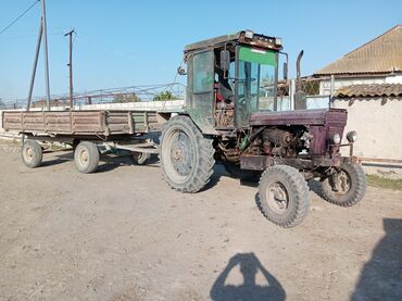 Сельско-хозяйственное оборудование: Kənd təsərrüfatı üçün traktor və qoşqu - Model: MTZ tipli təkərli