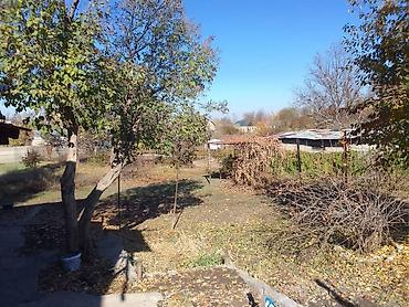 Продажа коттеджей и домов: Земельный участок с домом. Имеется две красные книги, договор купли — 7