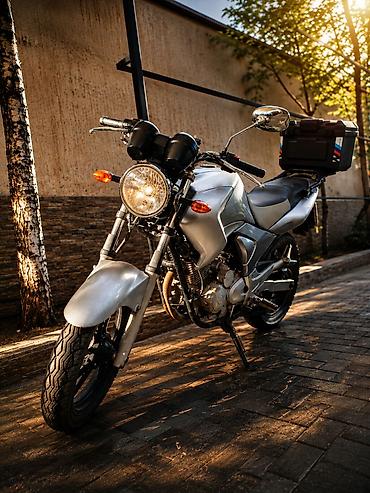 kawasaki ninja 250: Классический мотоцикл Yamaha, 250 куб. см, Бензин, Взрослый, Б/у — 2