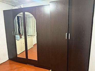 standing mirror: Шкаф-купе/распашной модульный, цвет венге, с зеркалами - Габариты — 1