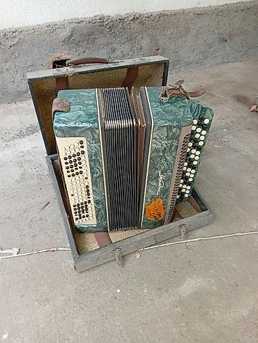 instrument: Баян “Украина” (трёхрядный, кнопочный) в фирменном чемодане — 3