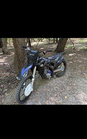 Мотоциклы: Эндуро Yamaha, 300 куб. см, Бензин, Взрослый, Новый — 7