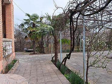 gencede satlan evler: 7 otaqlı, 318 kv. m, Orta təmir — 4