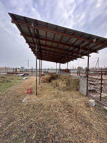 Продажа коттеджей и домов: 📍 В Романовке от трассы 600 м продается дом 29 соток, 40 кв.м. 🏡Дом — 4