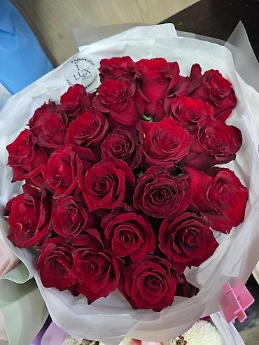 Другие комнатные растения: 🌿 Зелёное счастье для вашего дома 🌿 Комнатные растения и свежие цветы — 20