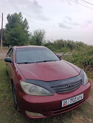тайота карола бишкек: Toyota Camry: 2003 г., 2.4 л, Автомат, Бензин, Седан — 1