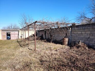 Yeni tikili: 2 otaqlı, Yeni tikili, 110 kv. m -da lalafo.az — 7 Yeni tikili: 2 otaqlı, Yeni tikili, 110 kv. m — 7