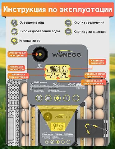 инкубаторы несушка: Инкубатор для яиц WONEGG на 48 яиц - Вместимость: до 48 — 8